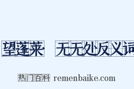 望蓬莱·无无处反义词是什么意思的图片